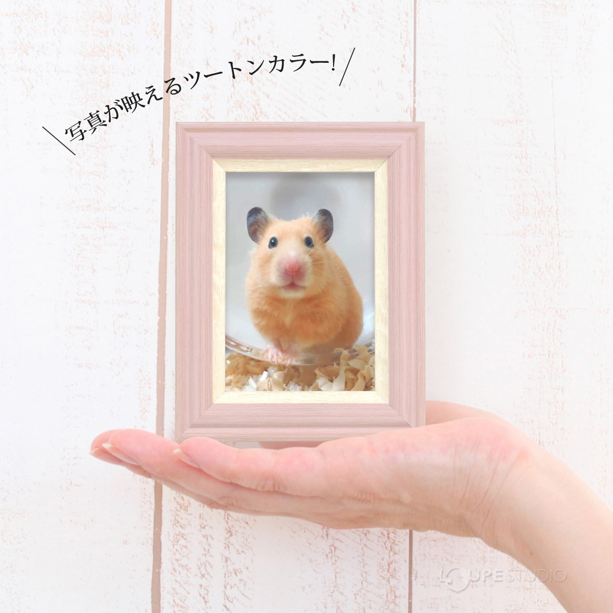 写真が映えるツートンカラー 