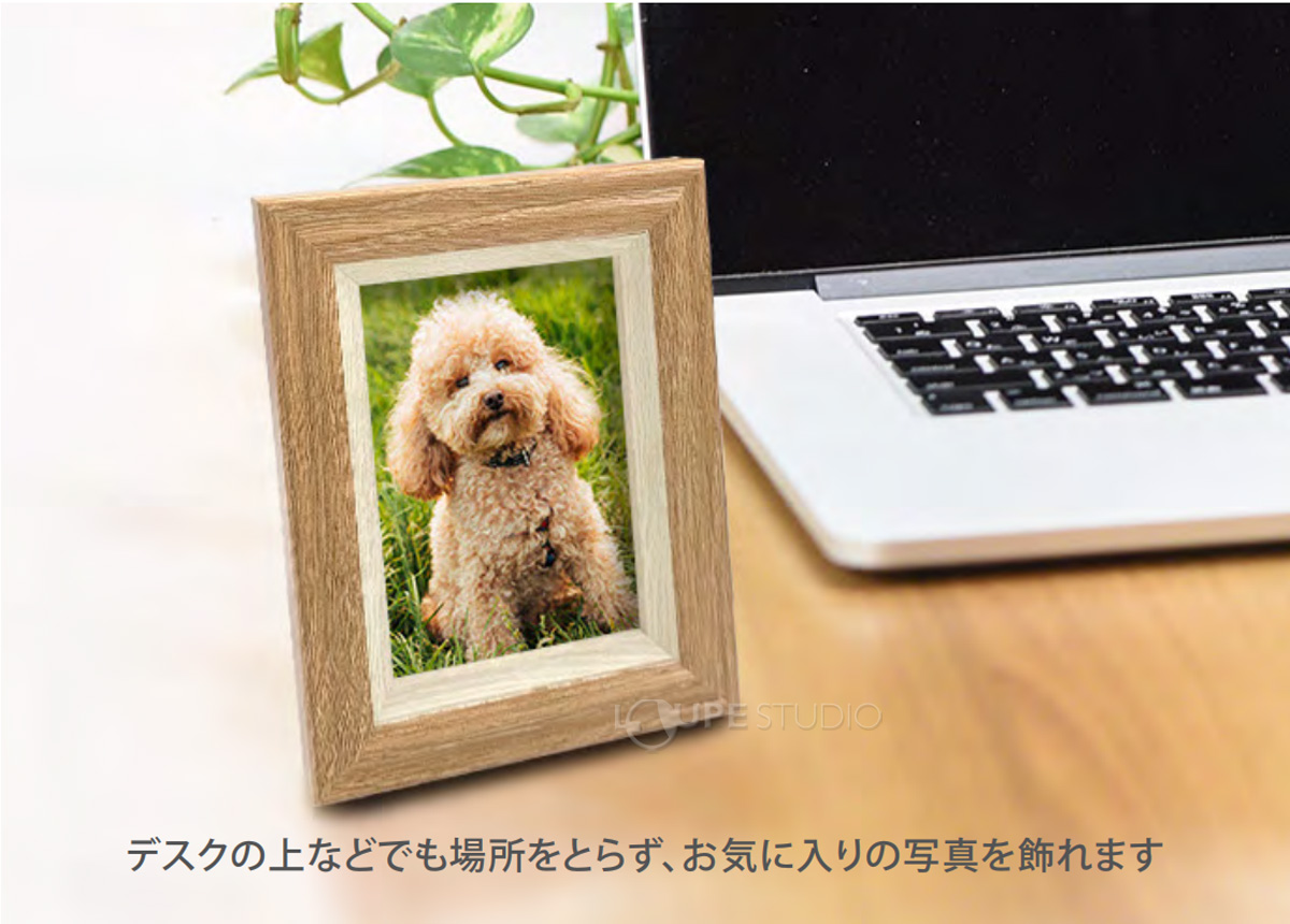 使用イメージ 