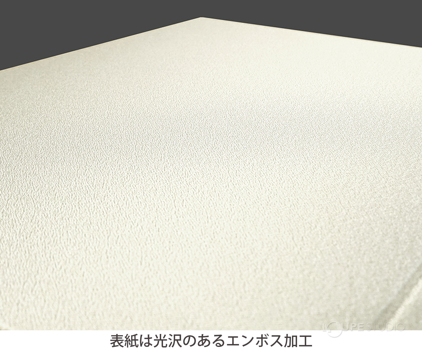 表紙は光沢のあるエンボス加工