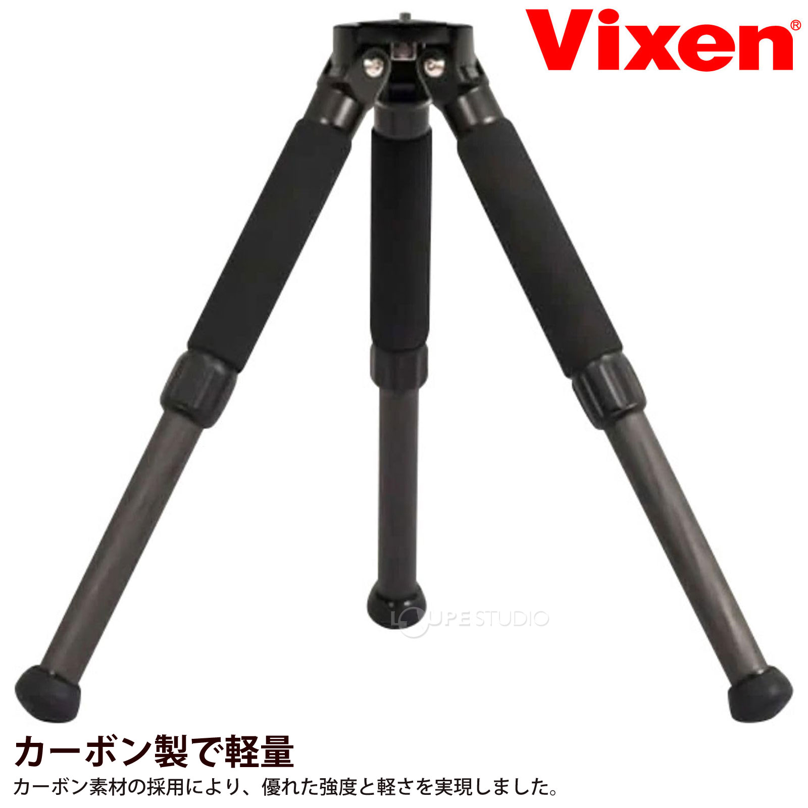本体 