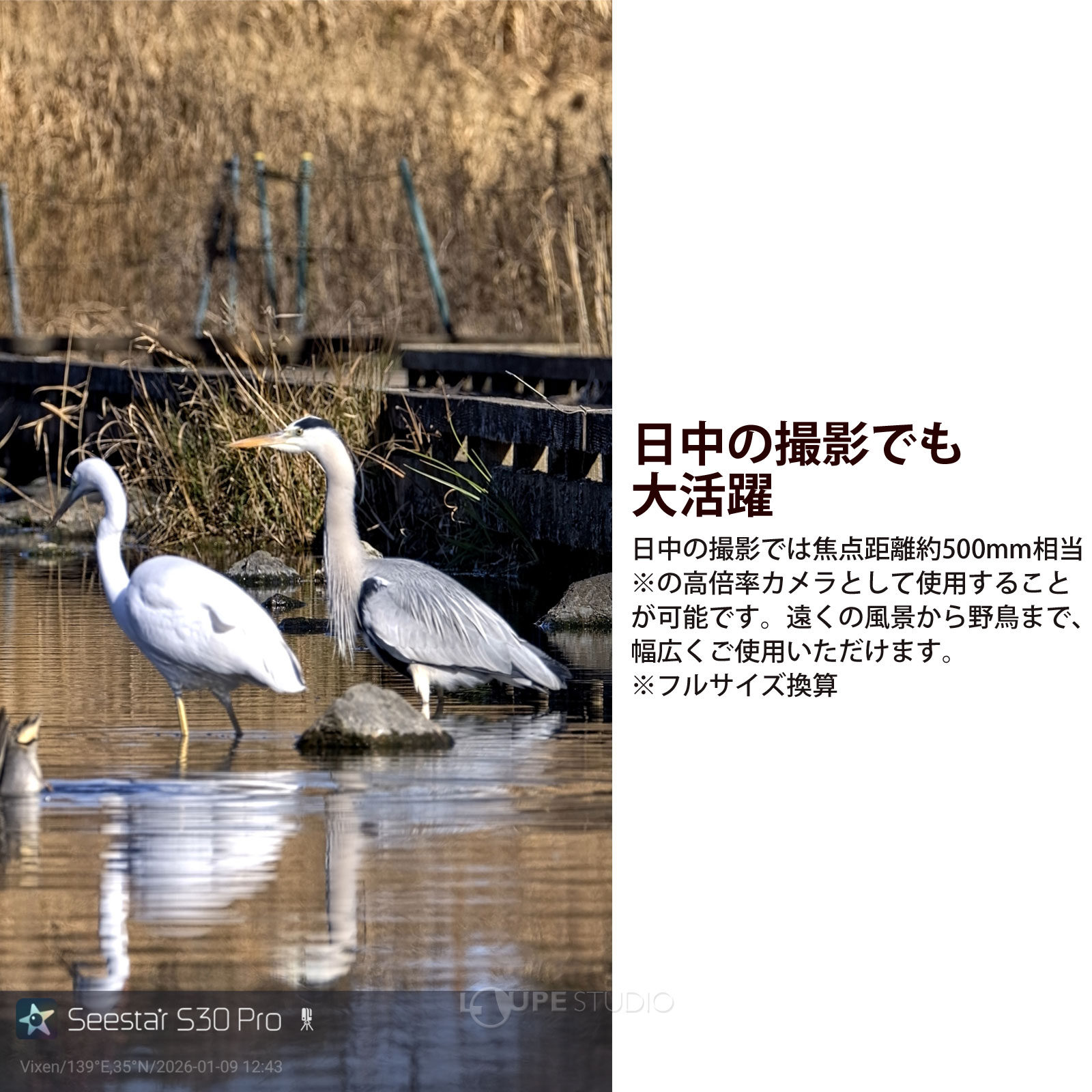 日中の撮影でも大活躍 