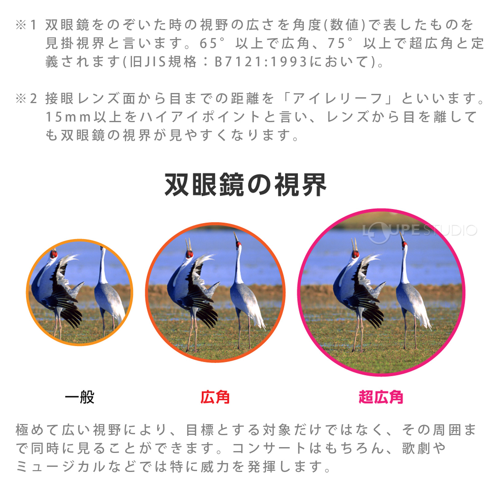 ビクセン 双眼鏡 SW8×25WP 8倍 超広角 ハイアイポイント