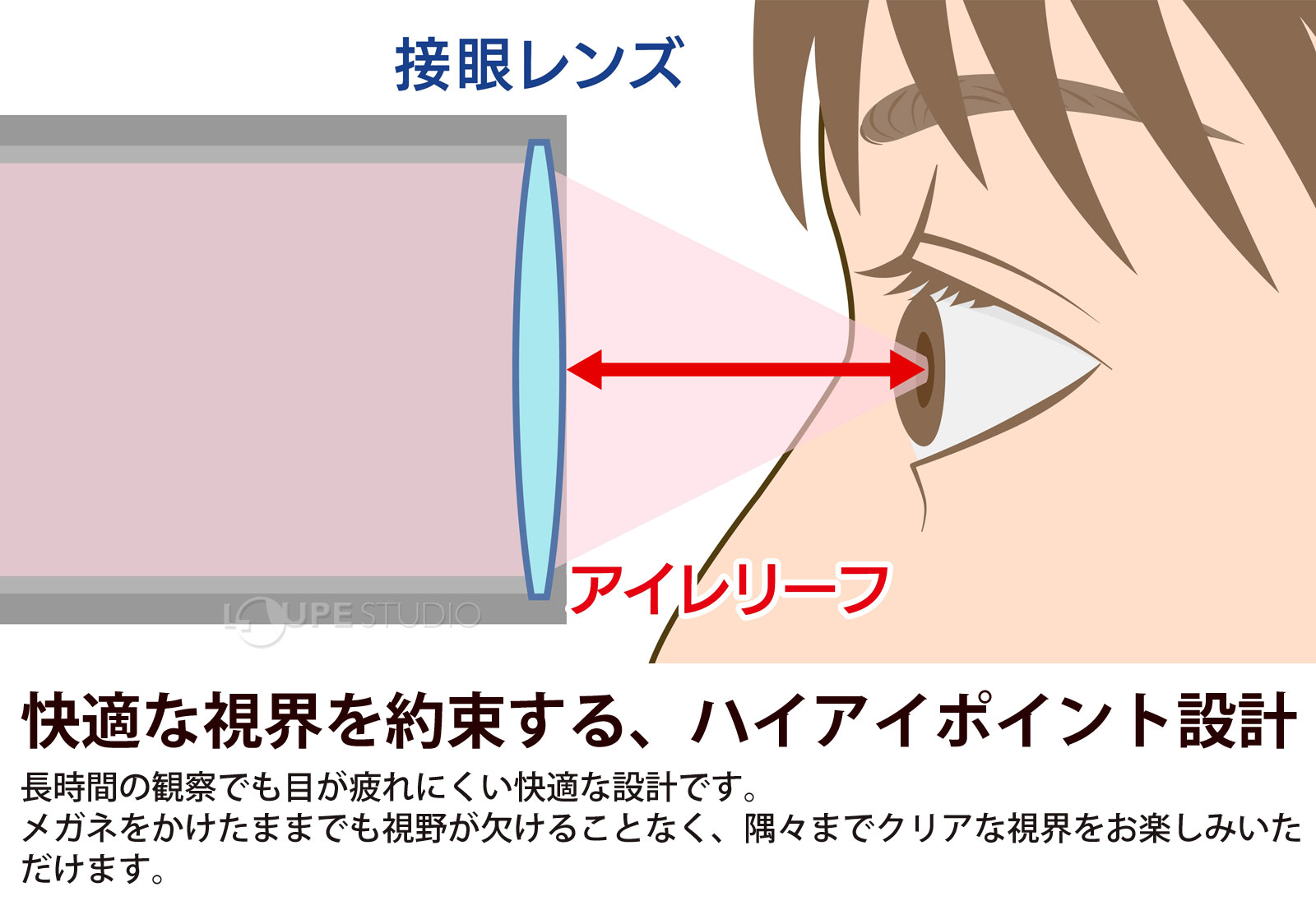 快適な視界を約束する、ハイアイポイント設計 