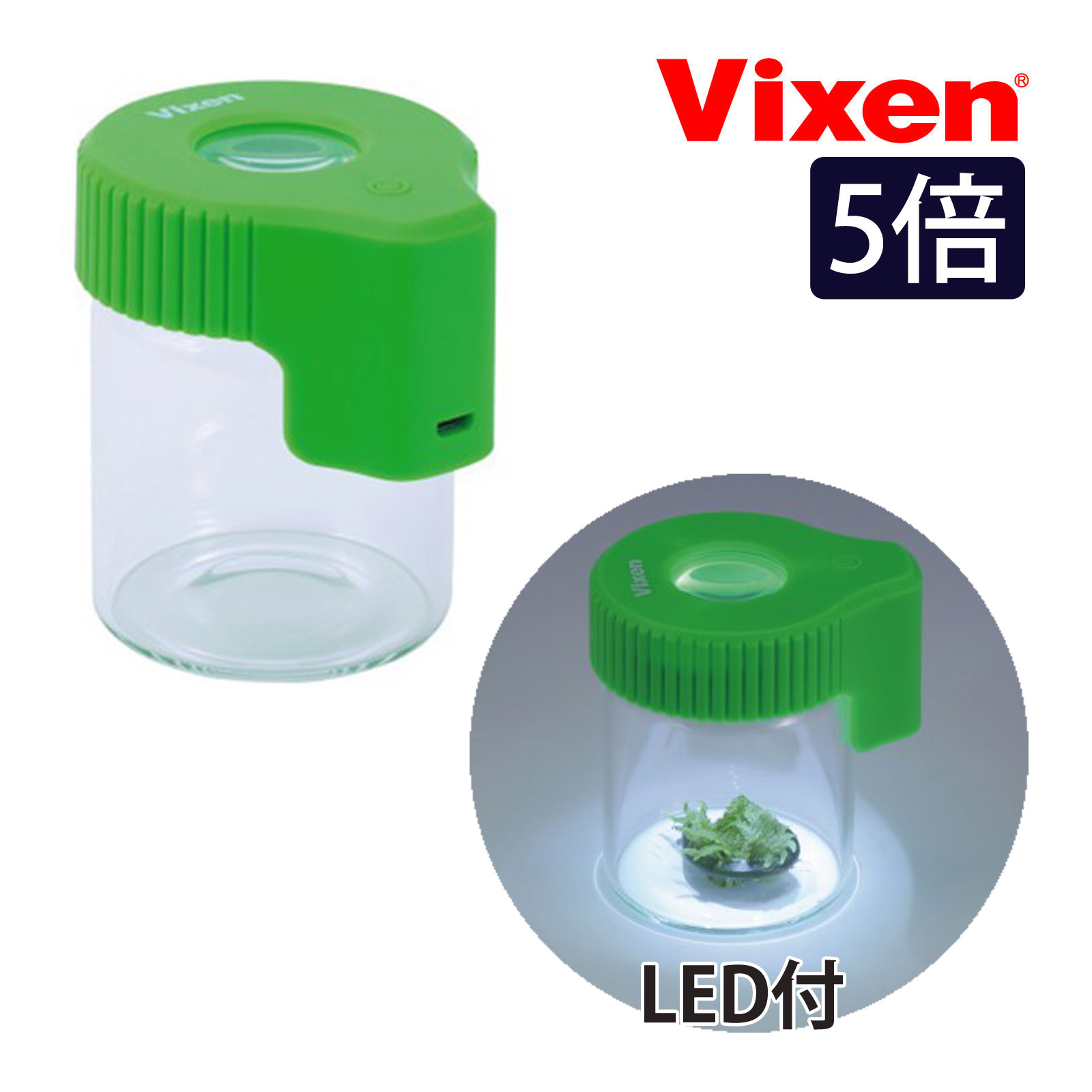 LED 観察ボトルルーペ