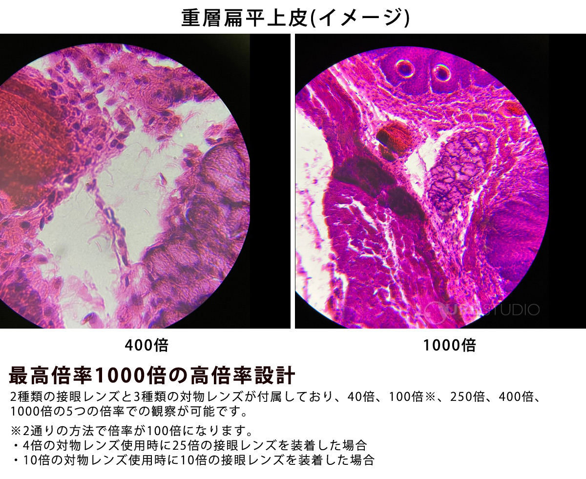 顕微鏡セット 子供 40倍-1000倍 小学生 スマホ撮影セット 学習 2WAY マイクロスコープ 自由研究 生物顕微鏡 実験 知育 理科 科学