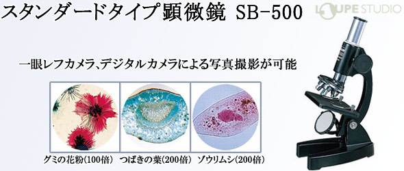 顕微鏡 小学生 学習用 SB-500 ビクセン スタンダードタイプ 自由研究