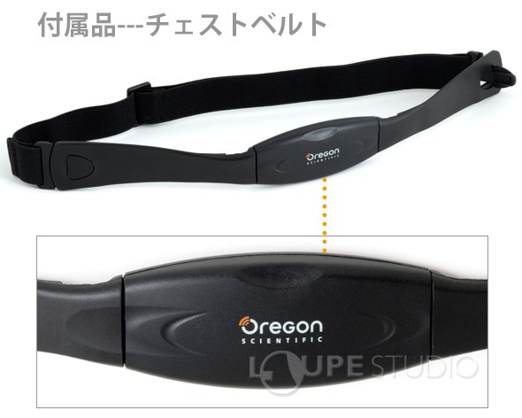 付属品---チェストベルト