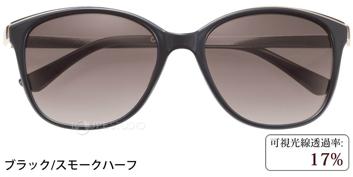 ブラック/スモークハーフ 