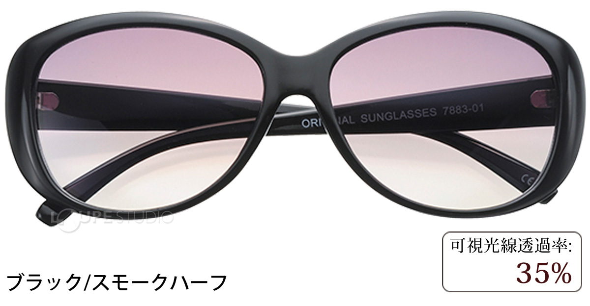 ブラック/スモークハーフ 