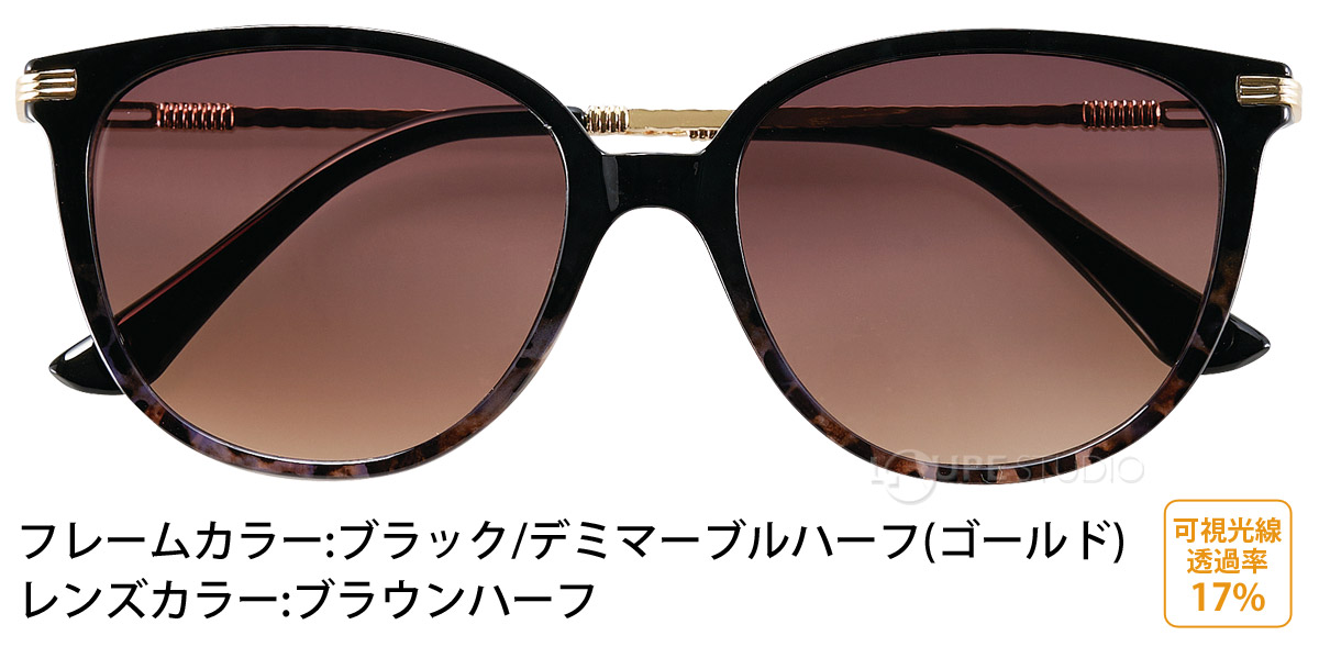 ブラック/デミ/ブラウンハーフ 