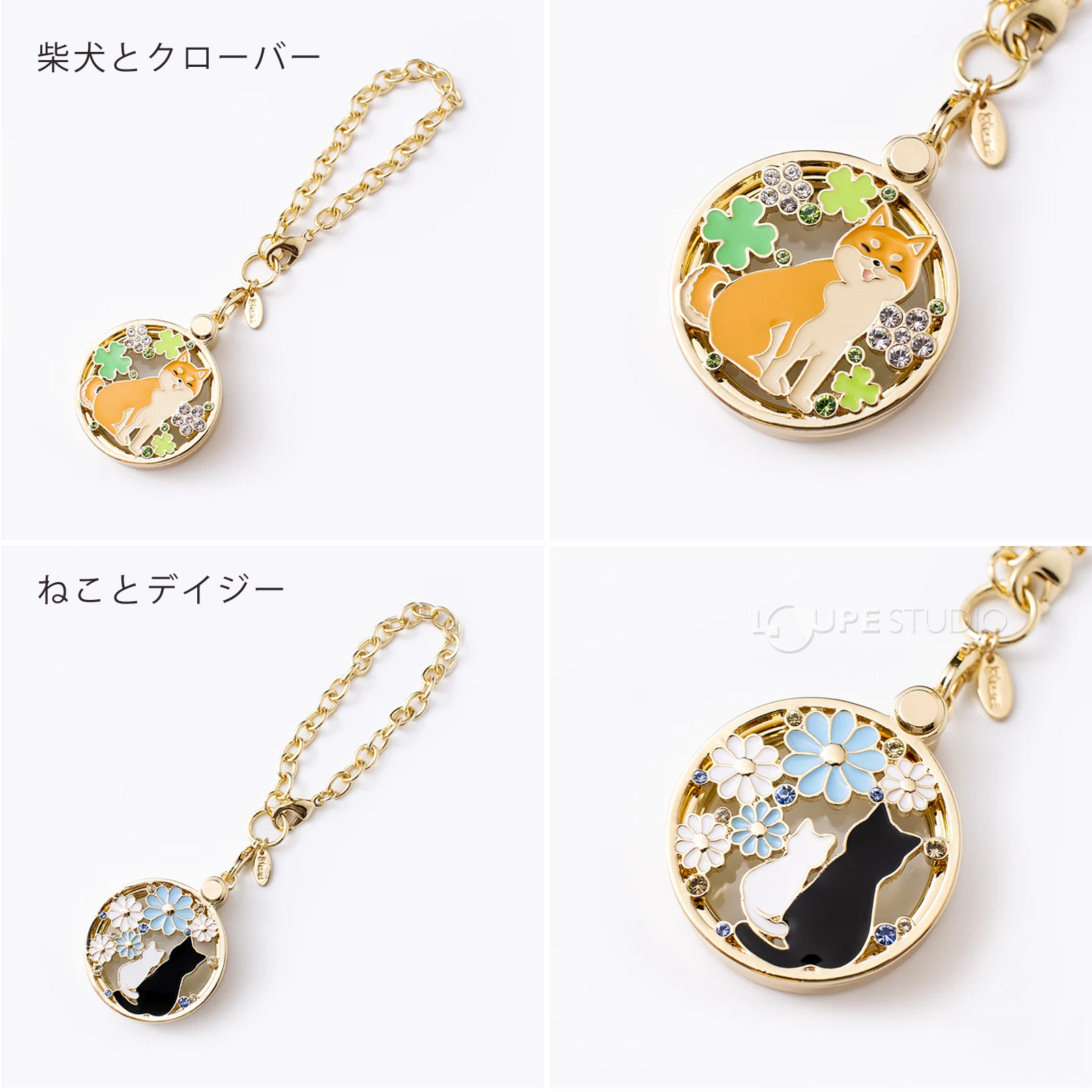 柴犬とクローバー 