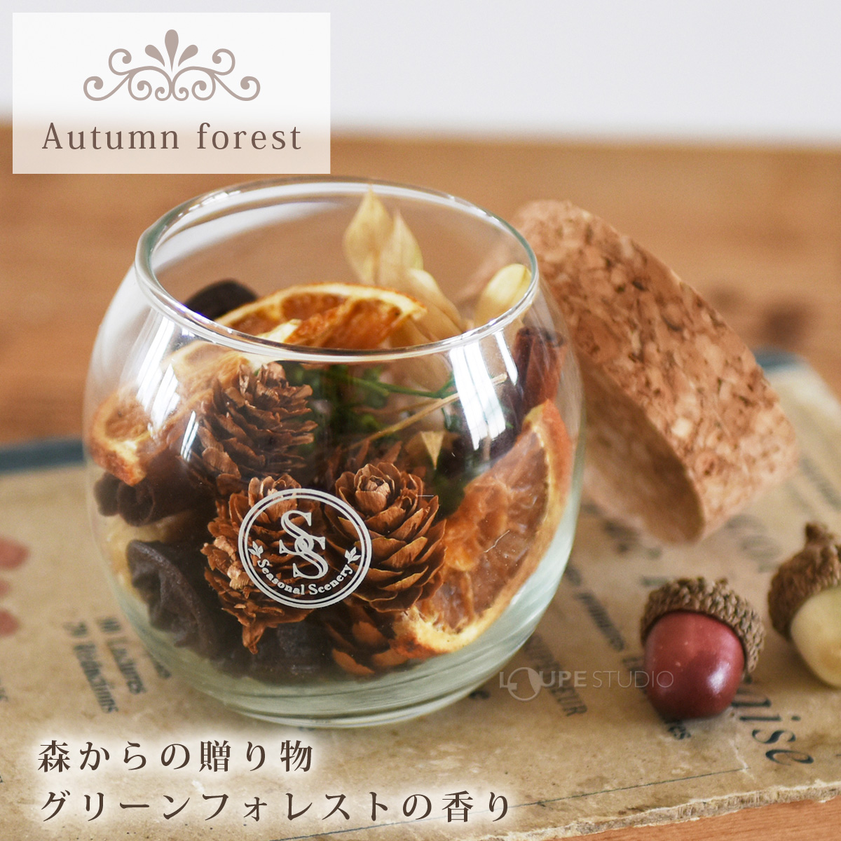 Autumn forest 