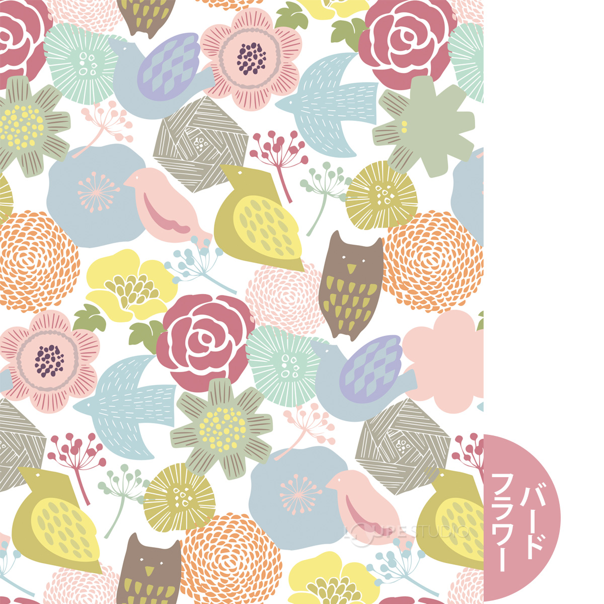 バードフラワー 