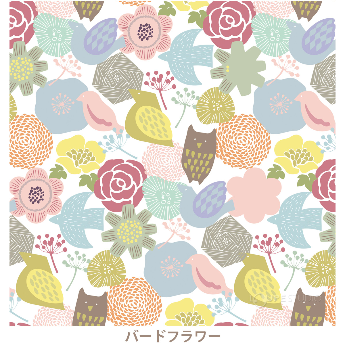 バードフラワー 