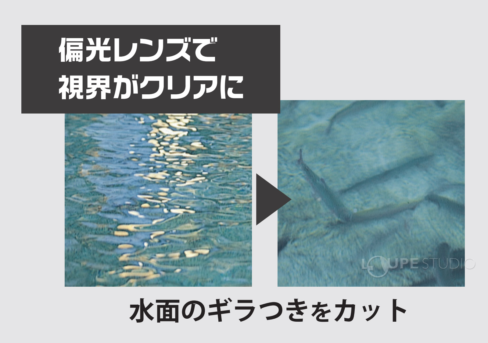 偏光レンズ 