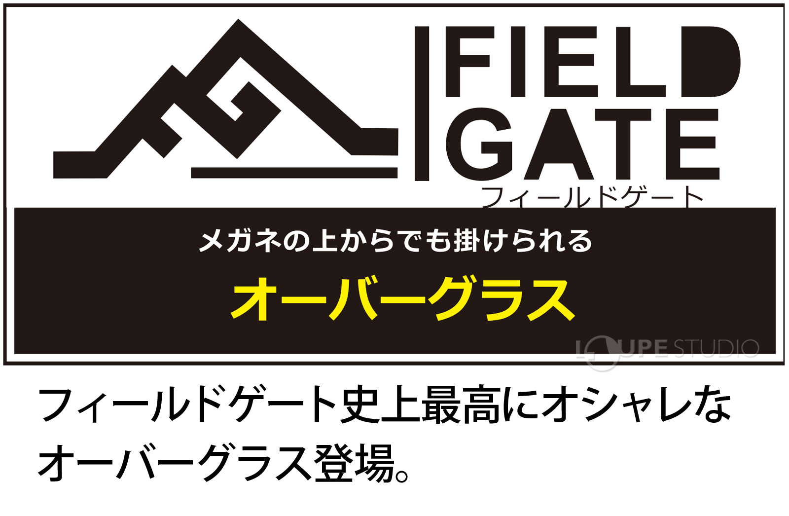 フィールドゲート 