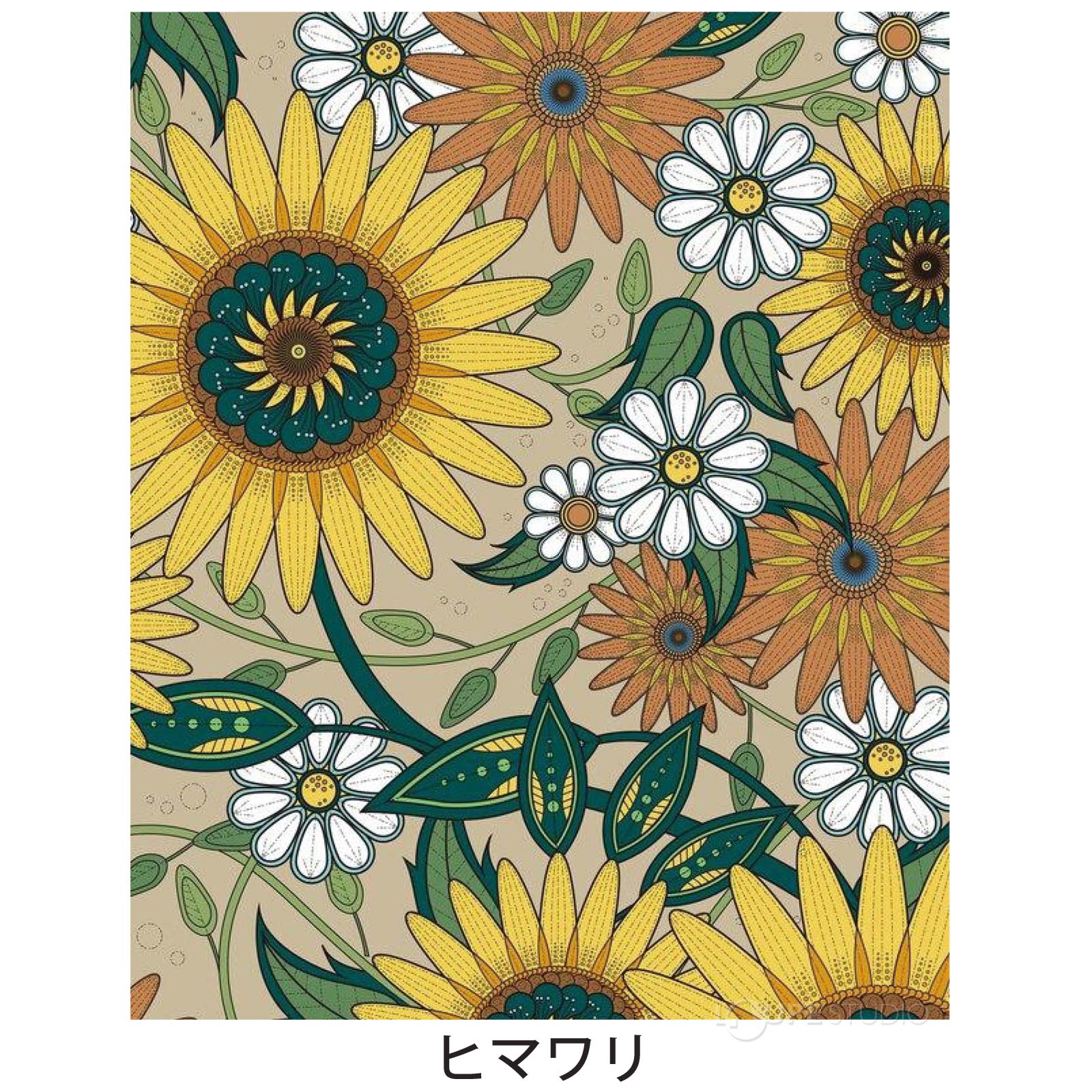 ヒマワリ 