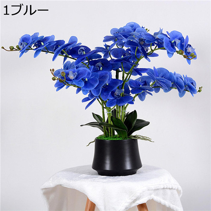 胡蝶蘭 人工観葉植物 大型 高約55cm フェイクグリーン 造花 鉢植え リアル 世話いらず 水やり簡単 土なし ホーム 室内 箱庭 迎春 Xhyxc57b64c56d9 ラブストア 通販 Yahoo ショッピング