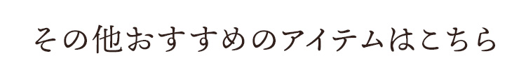 その他おすすめアイテムはこちら