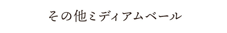 その他ミディアムベール