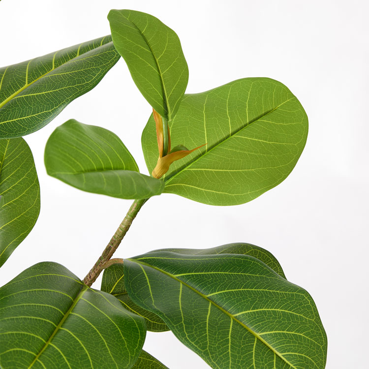 フェイクグリーン フィカス 観葉植物 人工観葉...の詳細画像2