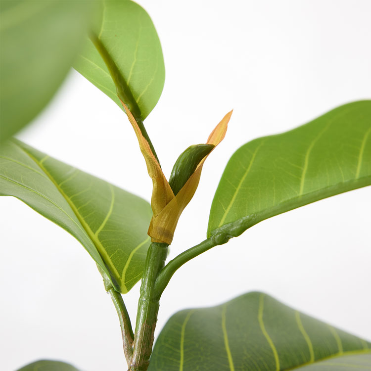 フェイクグリーン フィカス 観葉植物 人工観葉...の詳細画像3