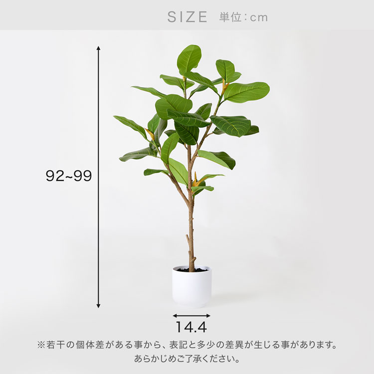 LOWYA（ロウヤ） フェイクグリーン フィカス 観葉植物 人工観葉植物