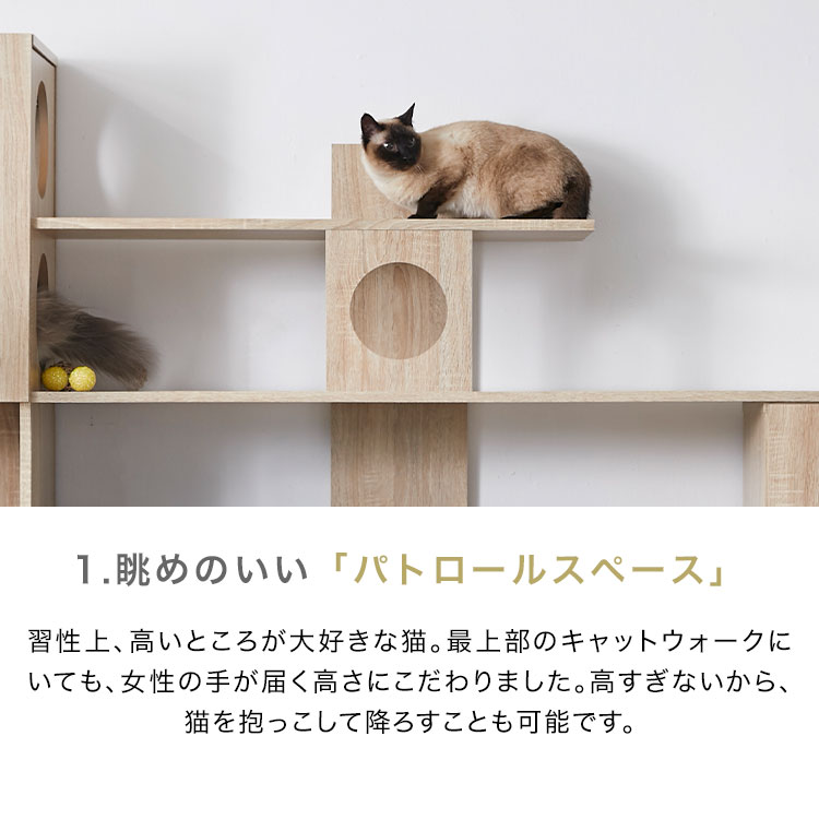 LOWYA（ロウヤ） テレビ台 ハイタイプ キャットタワー キャット