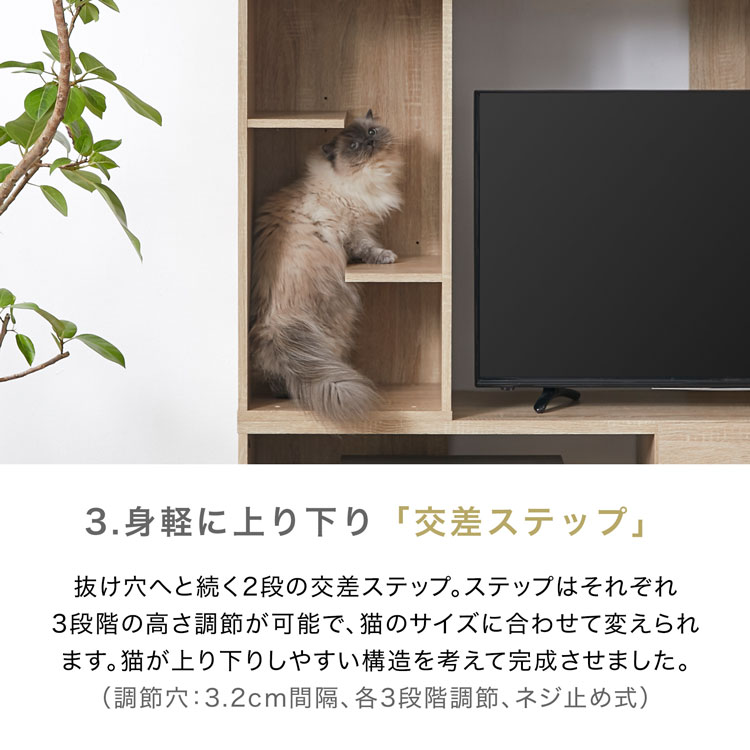 LOWYA（ロウヤ） テレビ台 ハイタイプ キャットタワー キャット
