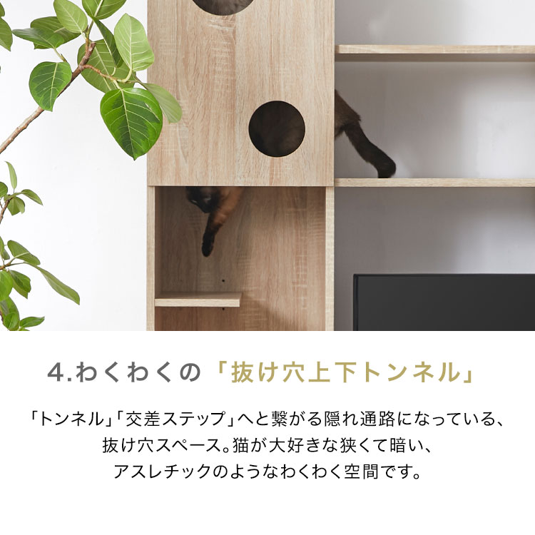 LOWYA（ロウヤ） テレビ台 ハイタイプ キャットタワー キャット