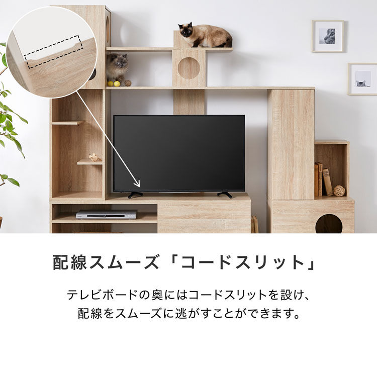 テレビ台　キャットタワー ハイタイプ キャットウォーク 猫 壁面収納 LOWYA（ロウヤ） テレビ台 ハイタイプ キャットタワー キャット