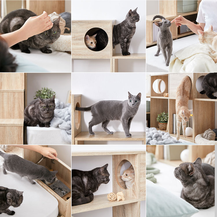 LOWYA（ロウヤ） 階段 ステアーズ 棚 シェルフ 収納 ストレージ 猫家具