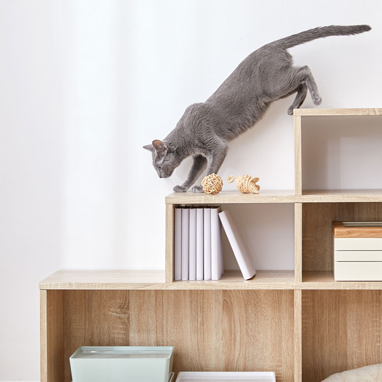 LOWYA（ロウヤ） 階段 ステアーズ 棚 シェルフ 収納 ストレージ 猫家具