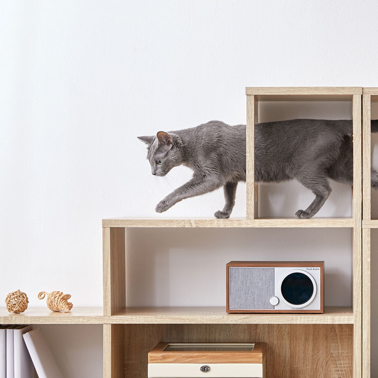 LOWYA（ロウヤ） 階段 ステアーズ 棚 シェルフ 収納 ストレージ 猫家具