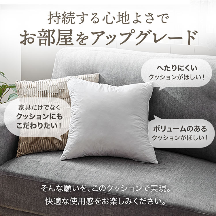 LOWYA（ロウヤ） ヌードクッション クッション フェザー100