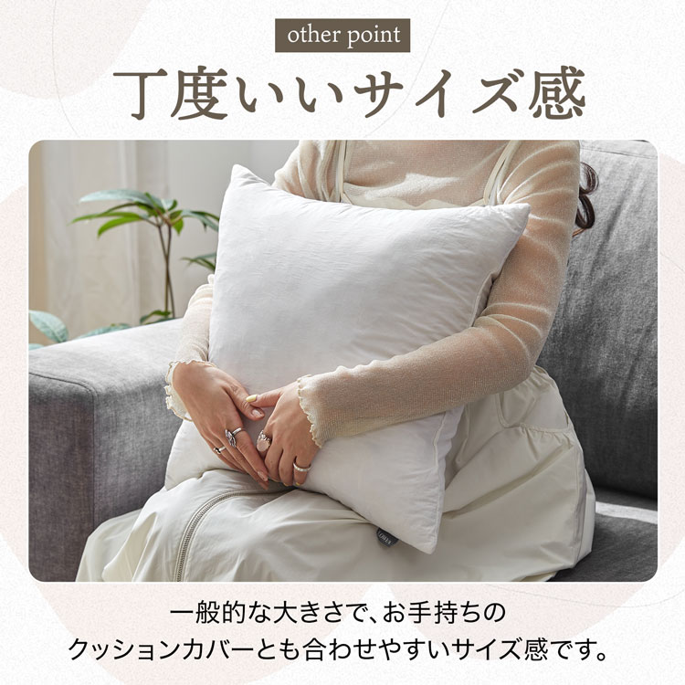 LOWYA（ロウヤ） ヌードクッション クッション フェザー100