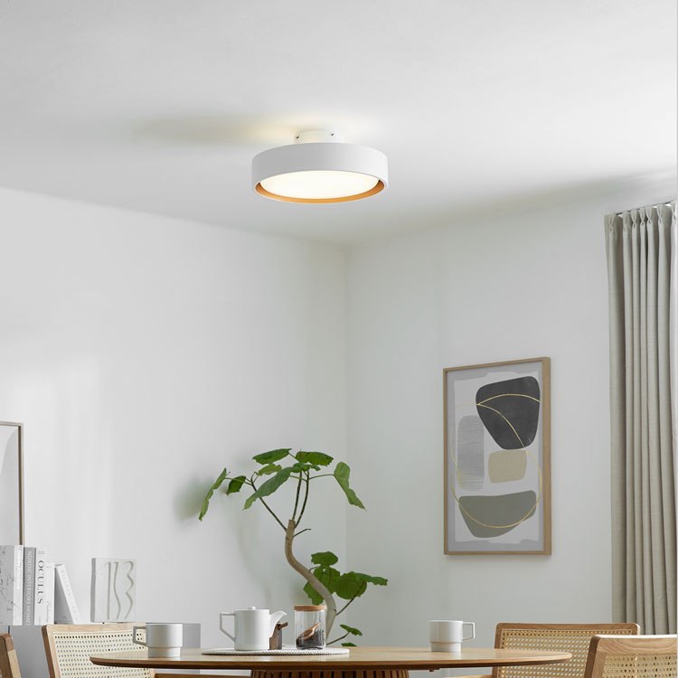 LOWYA（ロウヤ） シーリングライト 照明 天井照明 間接照明 リビング