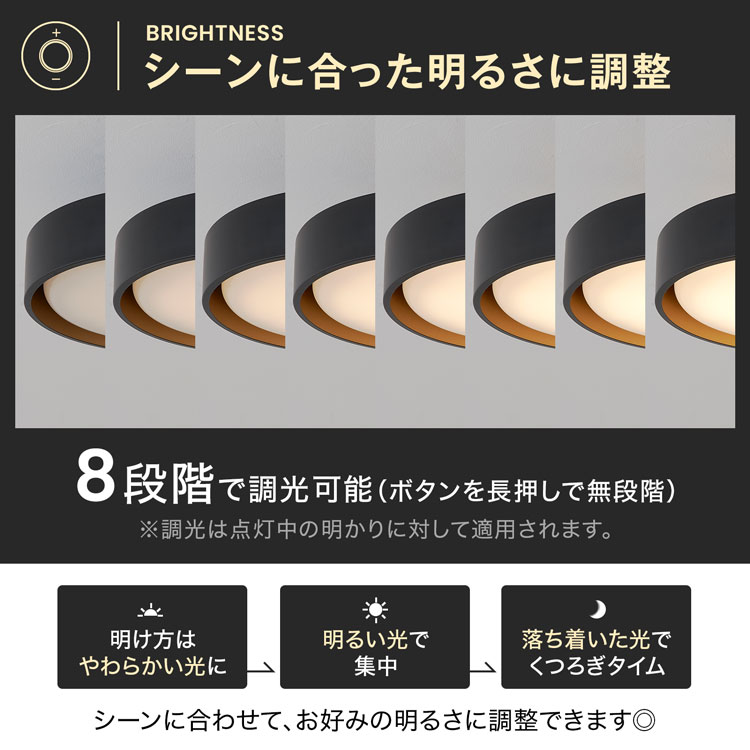 LOWYA（ロウヤ） シーリングライト 照明 天井照明 間接照明 リビング