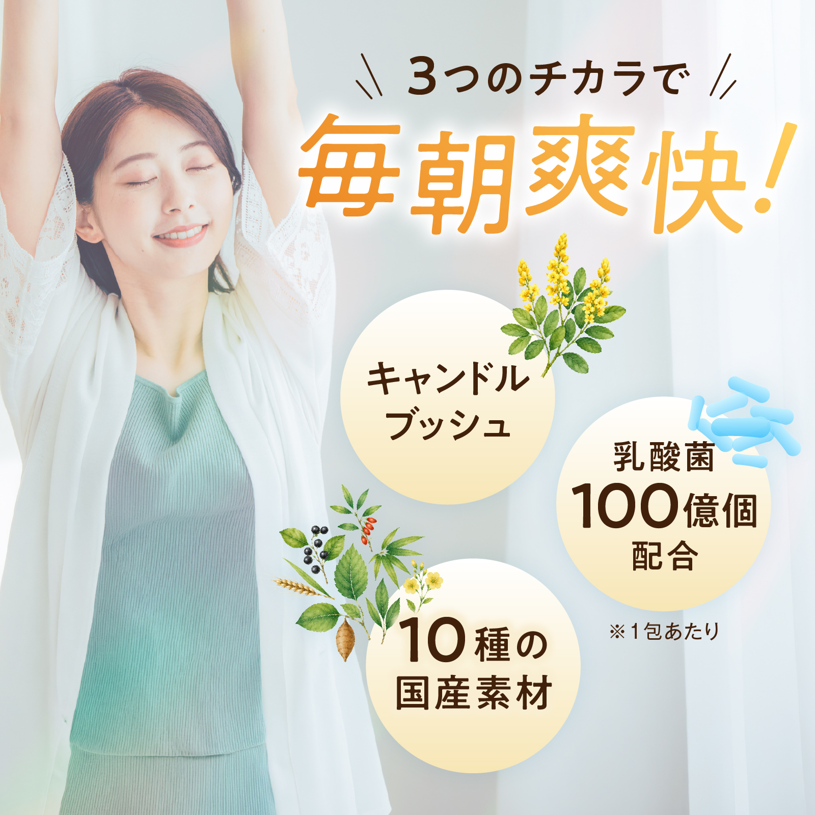 朝の定期便