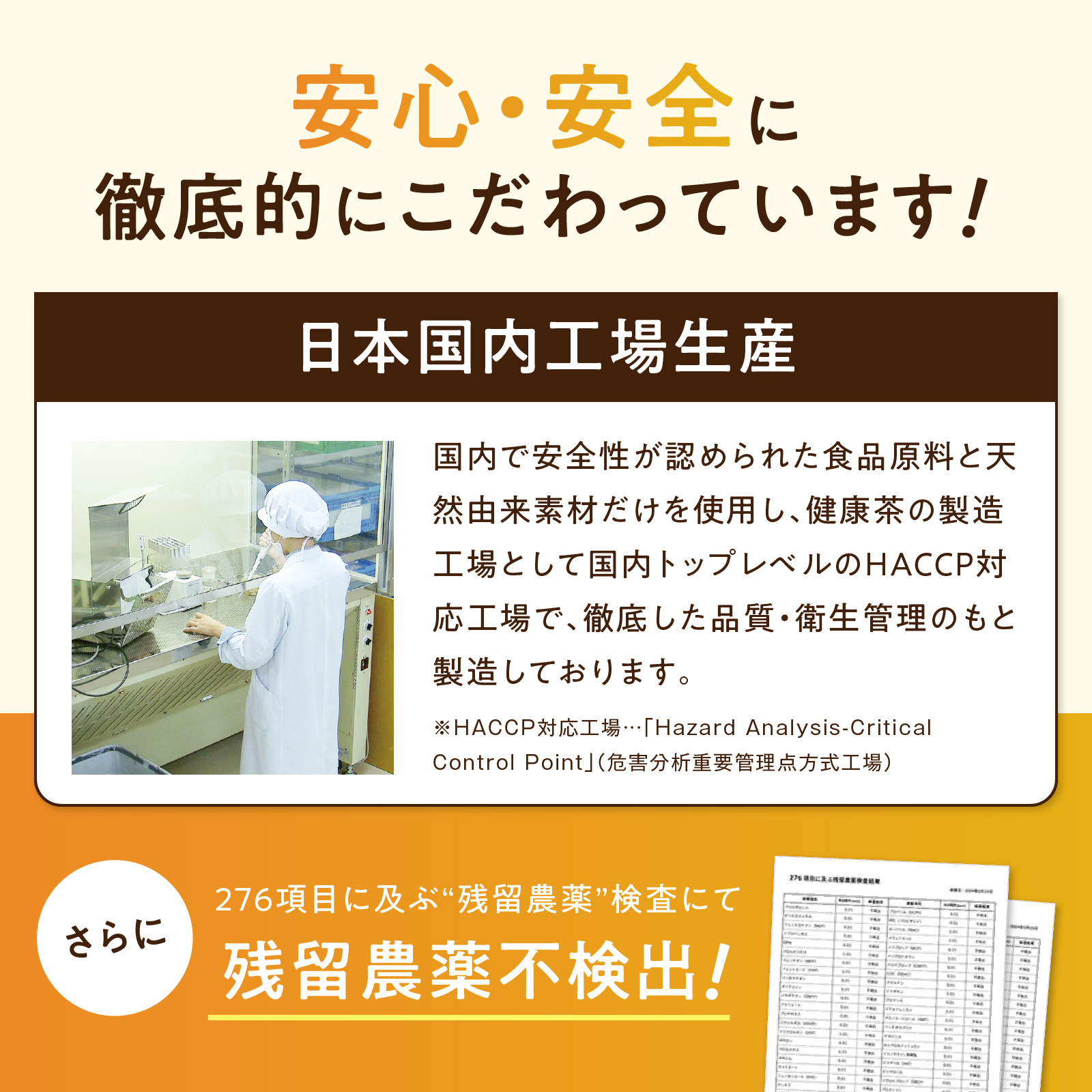 朝の定期便