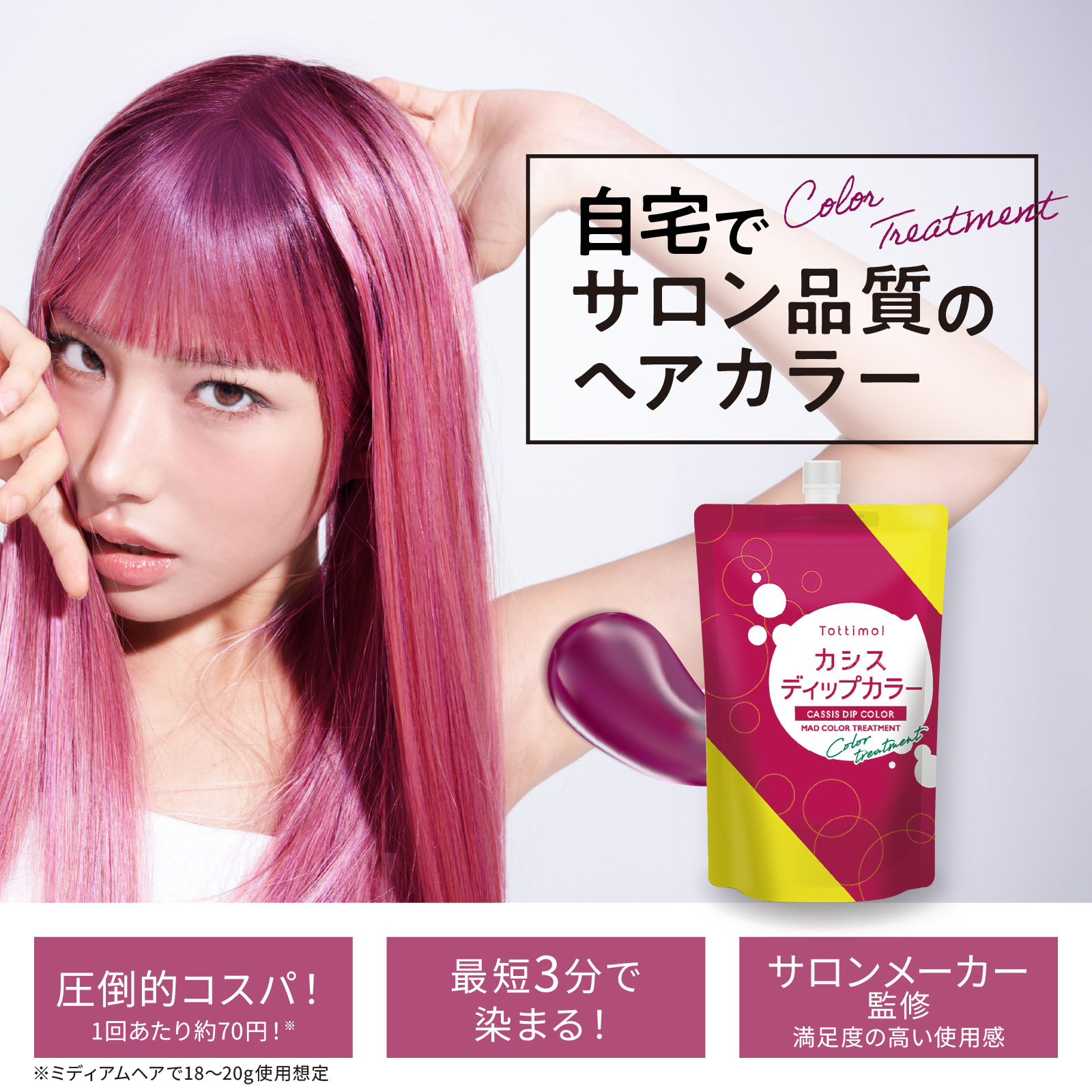 Tottimo!（トッティモ） ディップカラー カシス 500g ヘアカラー用