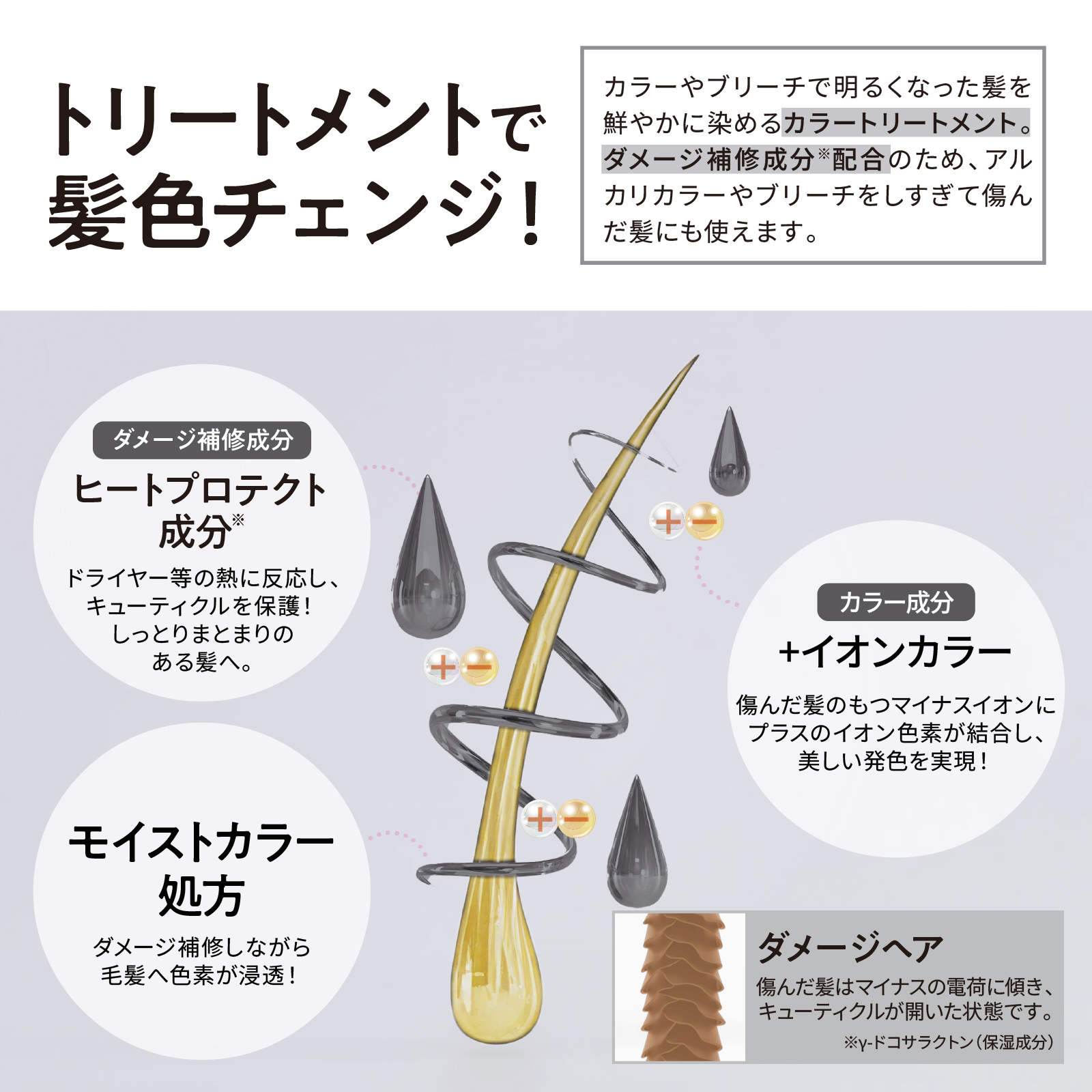 Tottimo!（トッティモ） ディップカラー ダークシルバー 500g ヘア