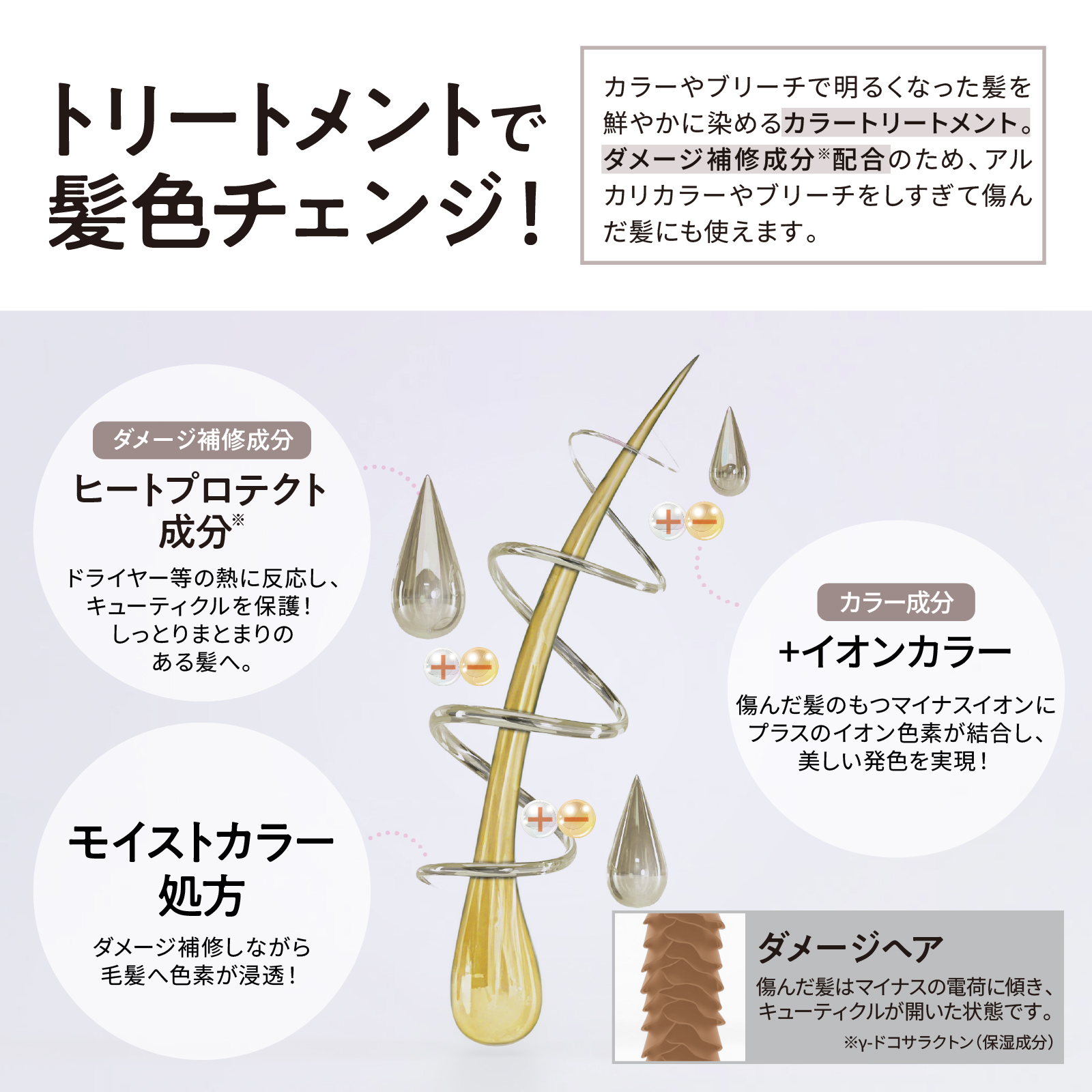 Tottimo!（トッティモ） ディップカラー ミルクティー 500g ヘアカラー