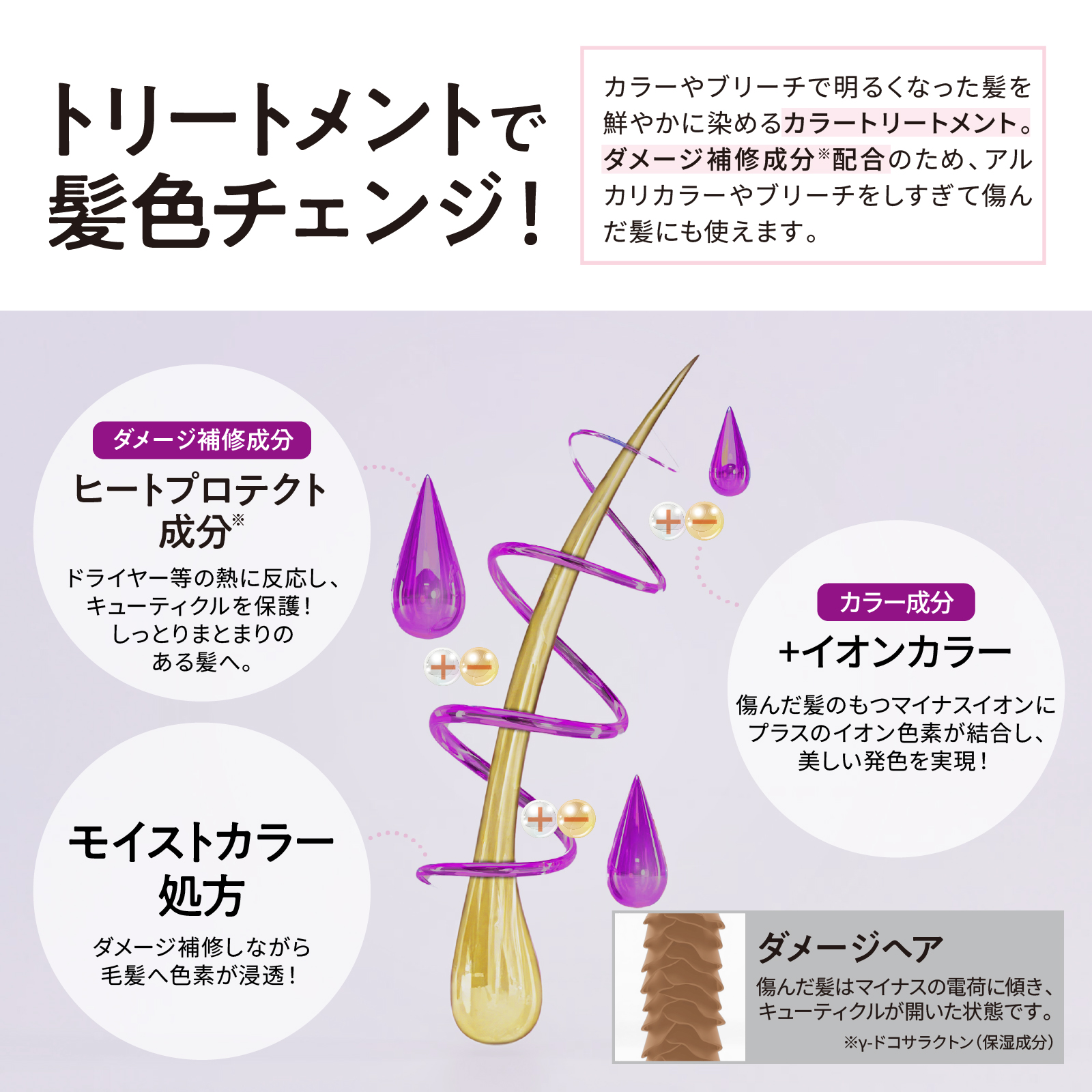 Tottimo!（トッティモ） ディップカラー ムラサキ 20g ヘアカラー用