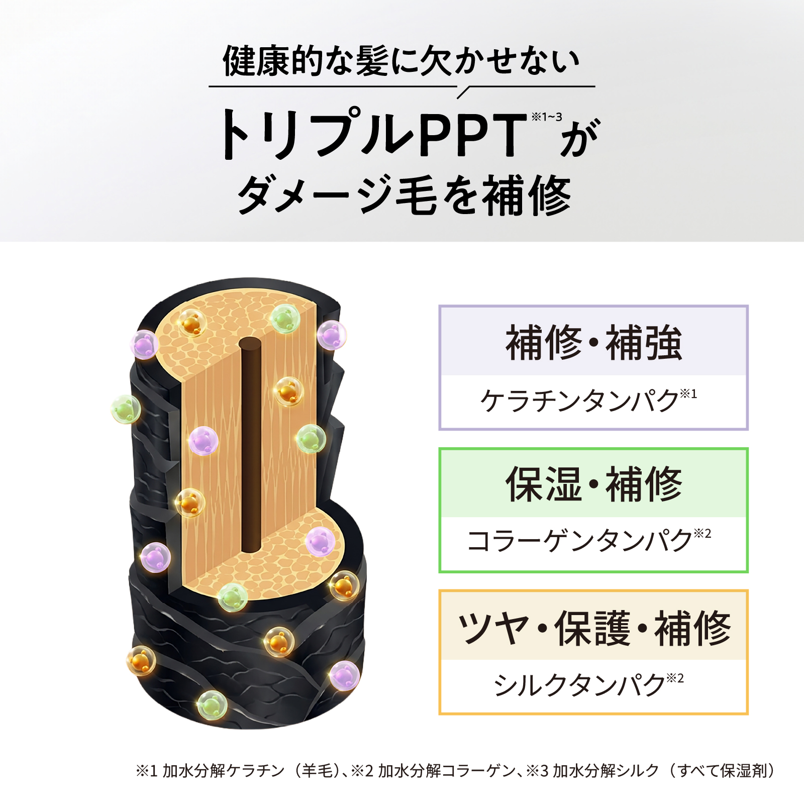 Tottimo!（トッティモ） カラーシャンプー シルバー 20ml ヘアカラー用
