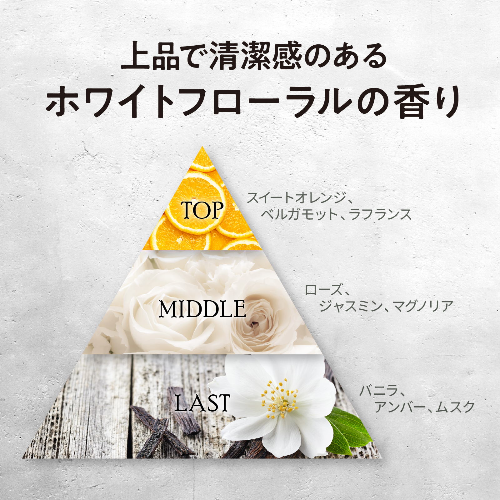 Tottimo!（トッティモ） カラーシャンプー シルバー 20ml ヘアカラー用