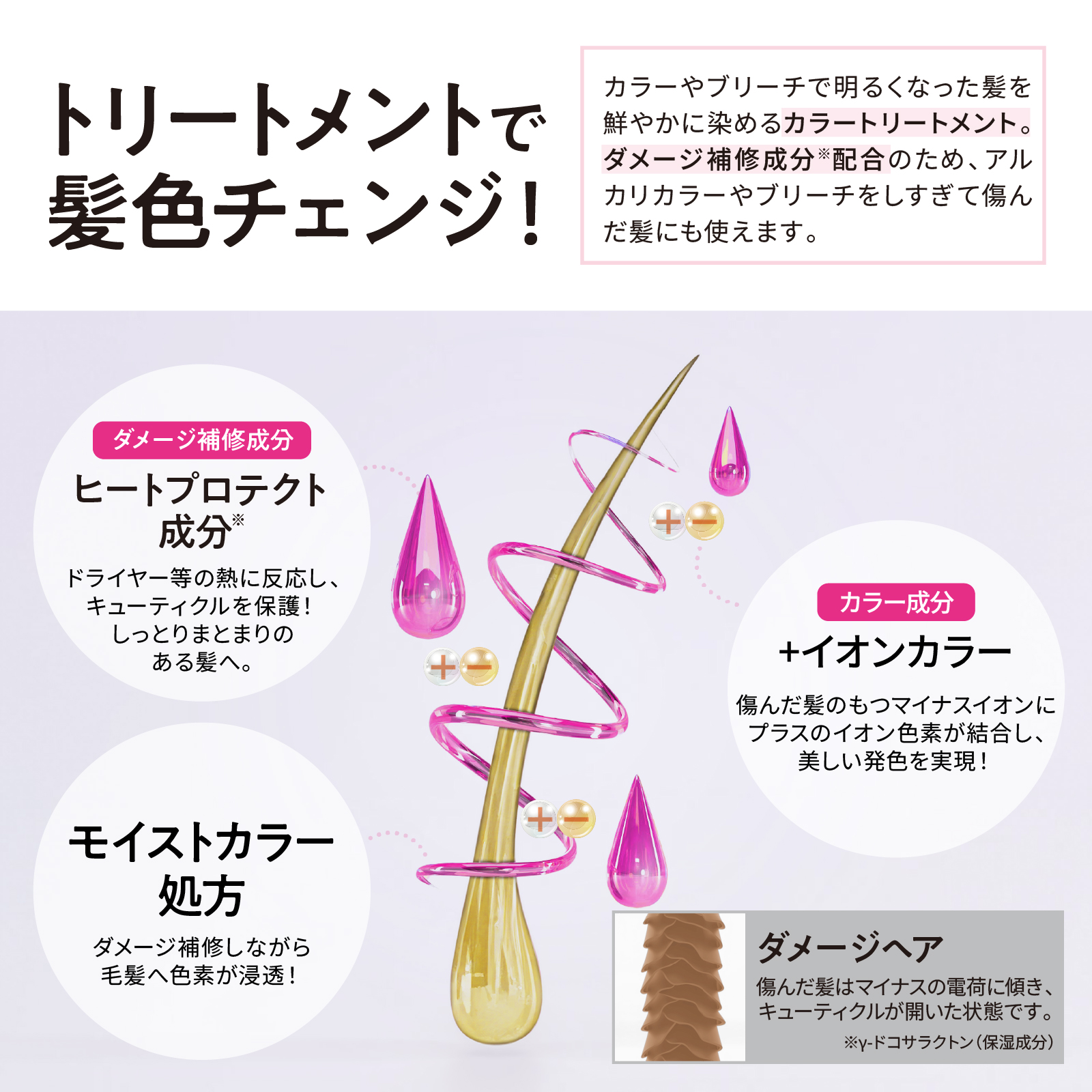 Tottimo!（トッティモ） ディップカラー ピンク 500g ヘアカラー用