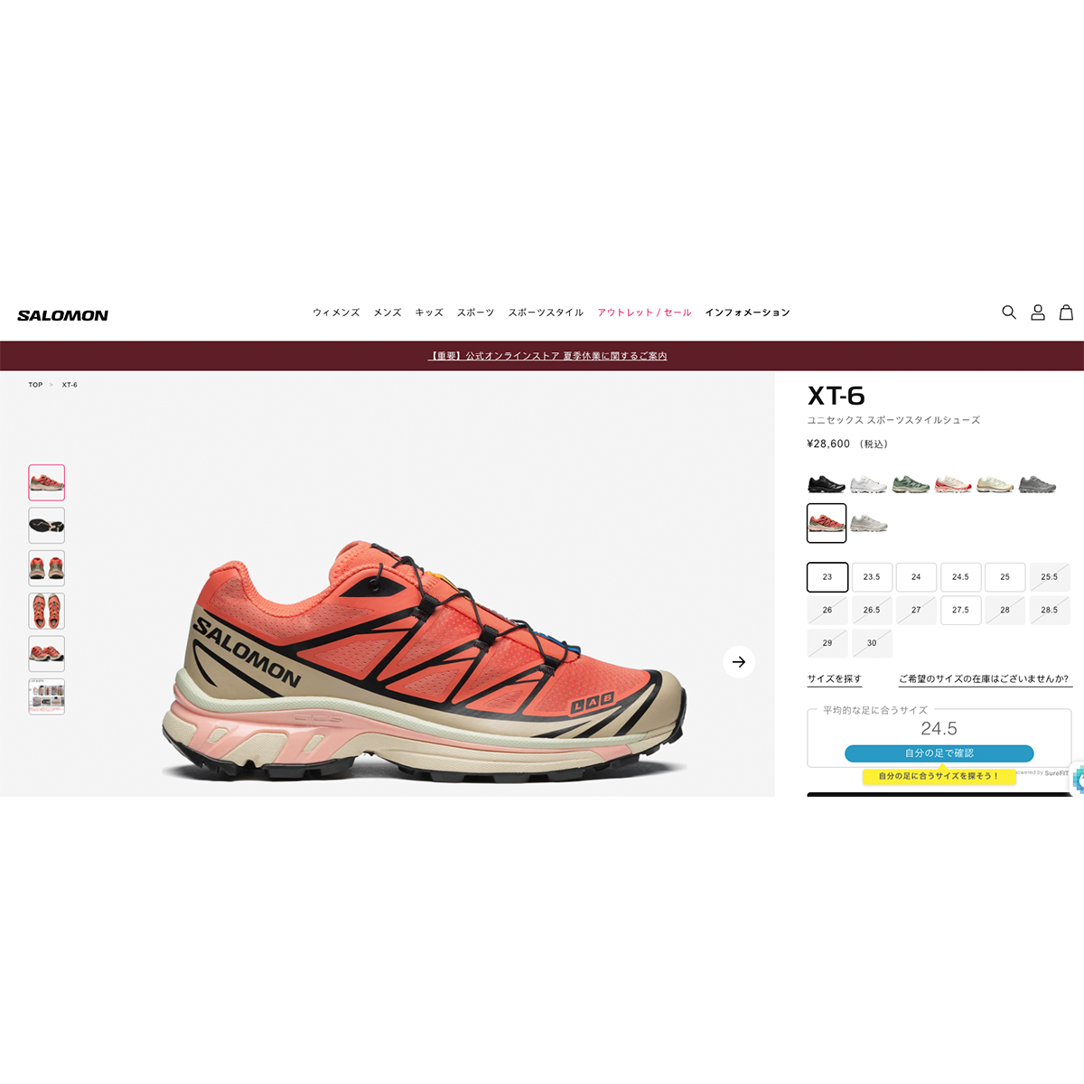 SALOMON XT-6 サロモン エックスティー 6 メンズ レディース LIVING 
