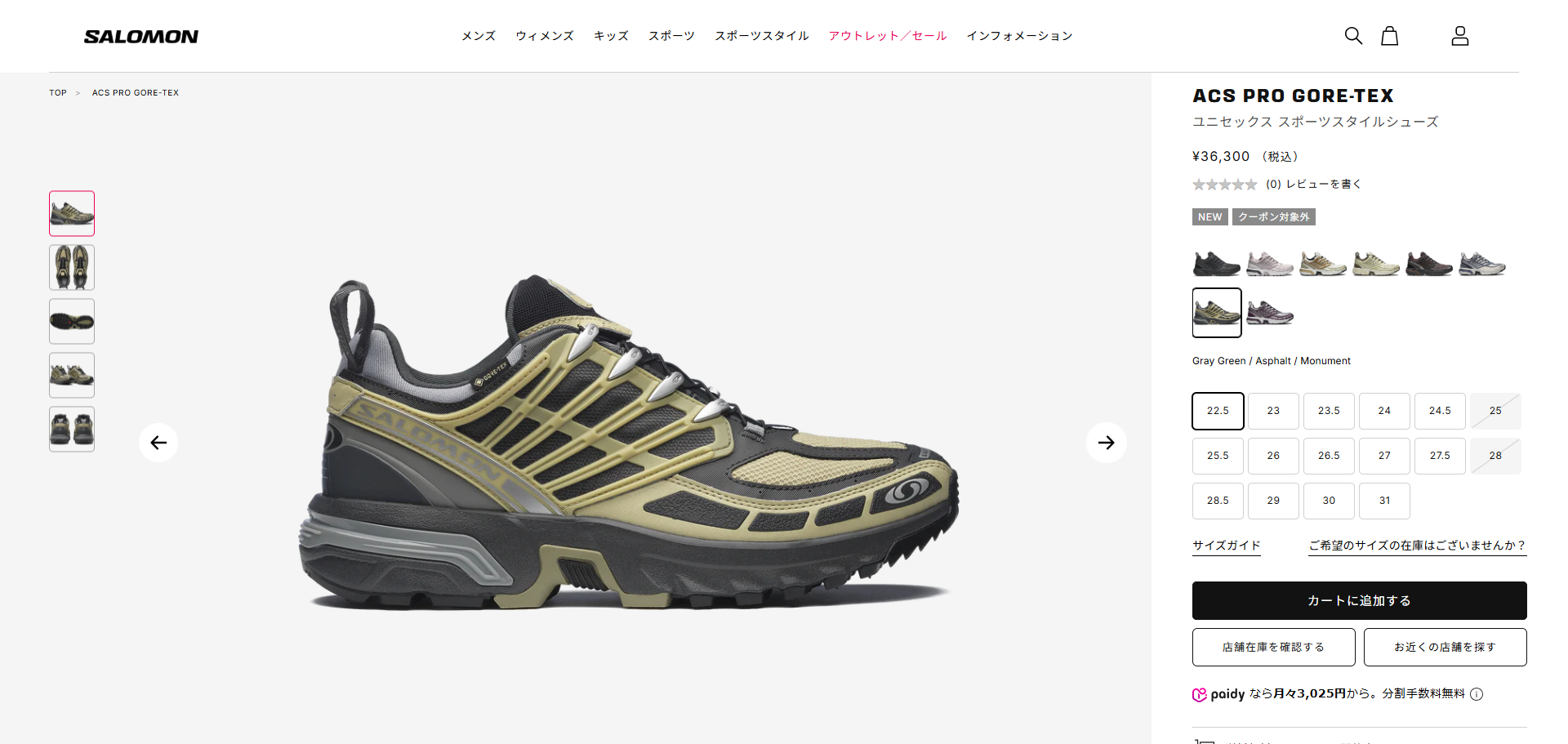 SALOMON（サロモン） 【30%OFF】 SALOMON ACS PRO GTX ACS プロ