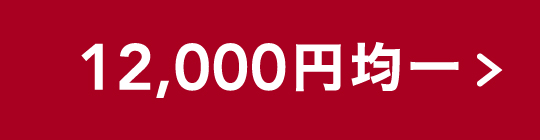 ボタン12000